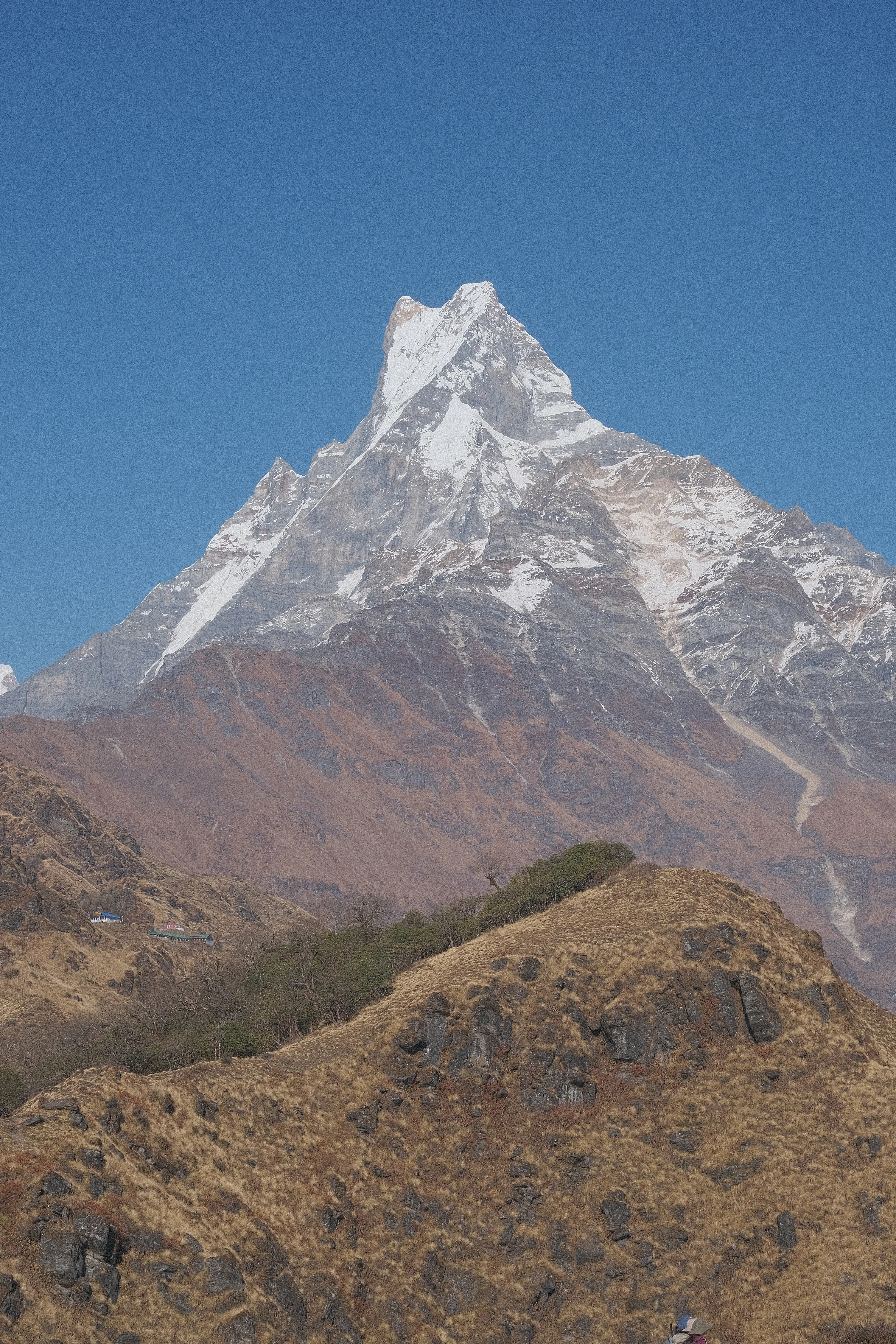Mardi Himal Trek