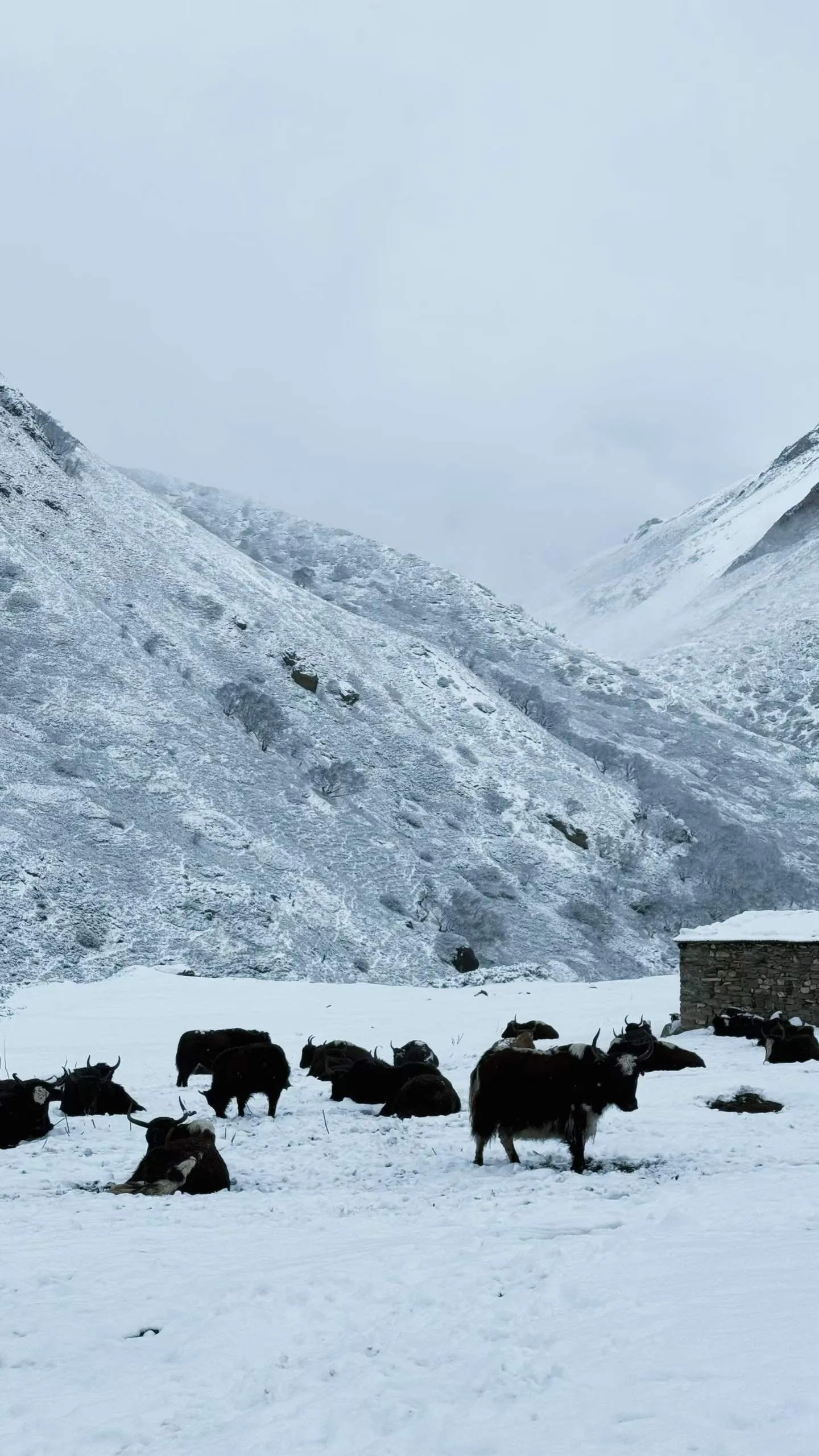 Annapurna Circuit Trek