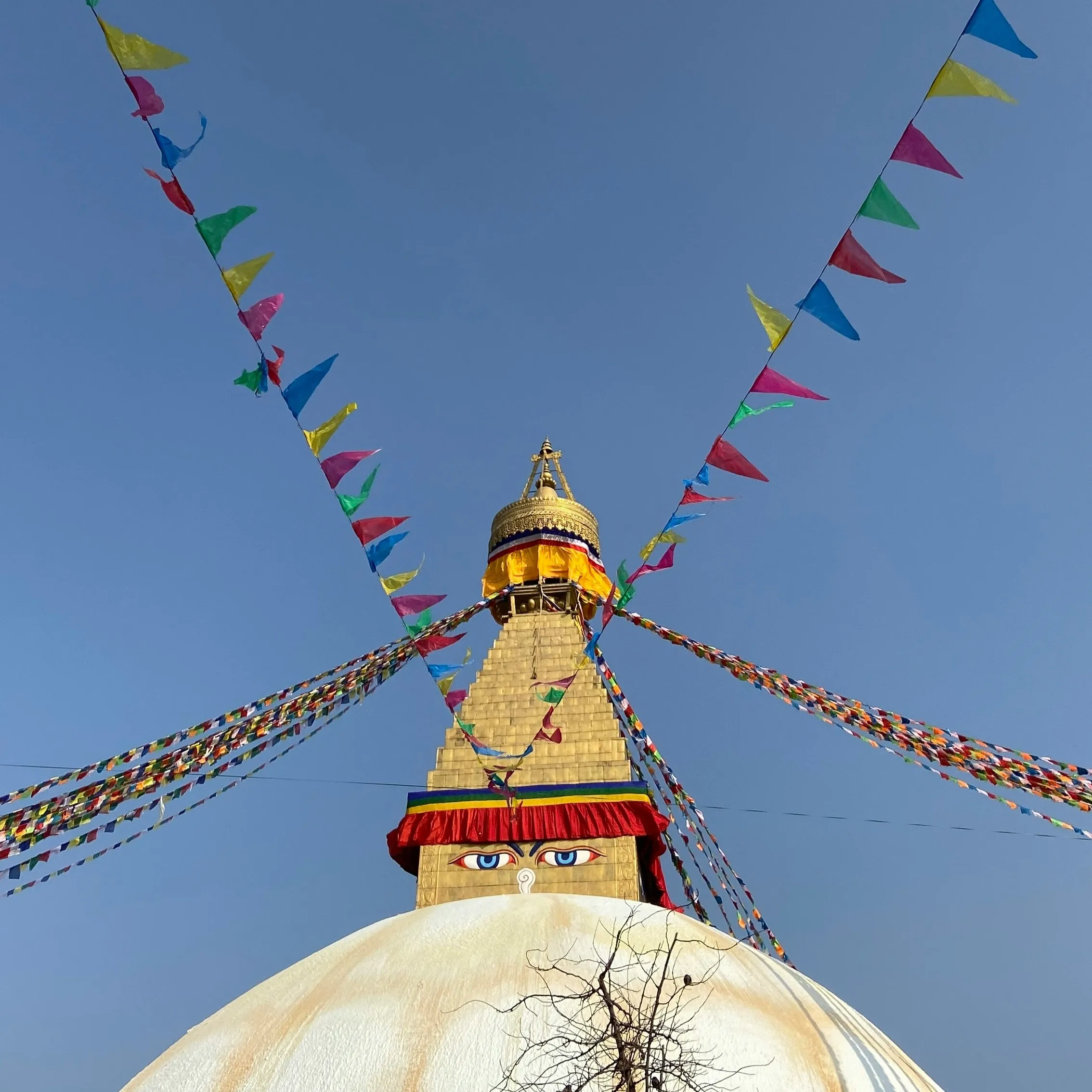 Himalayan Background